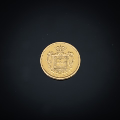 2022.004.0365.jpg