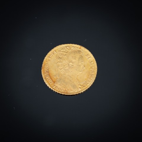 2022.004.0372.jpg