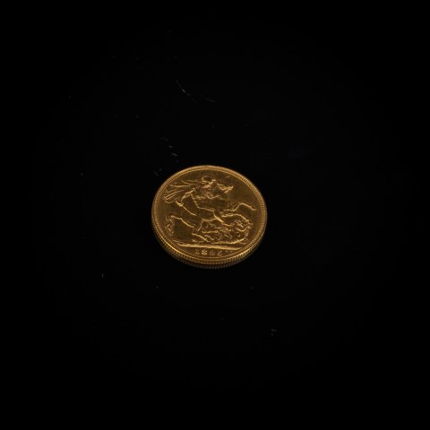 2022.006.0339.jpg