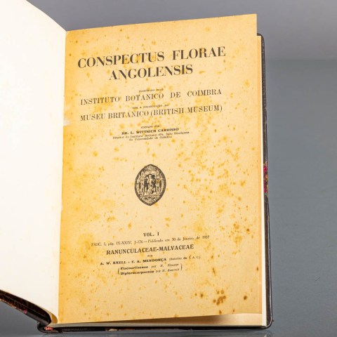 2022.007.0152_1.jpg