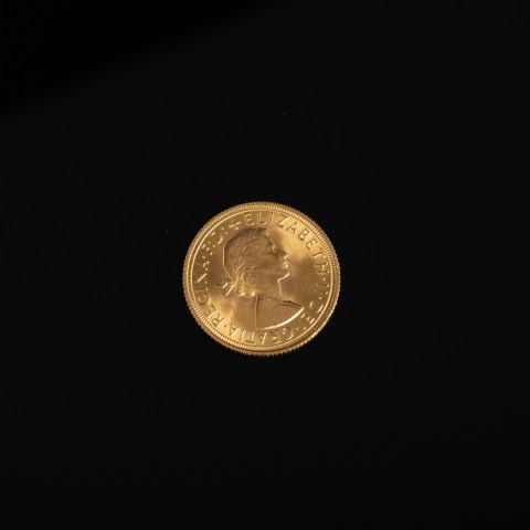 2023.004.0372.jpg