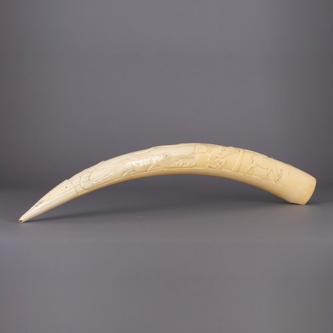 2023.005.0710.jpg