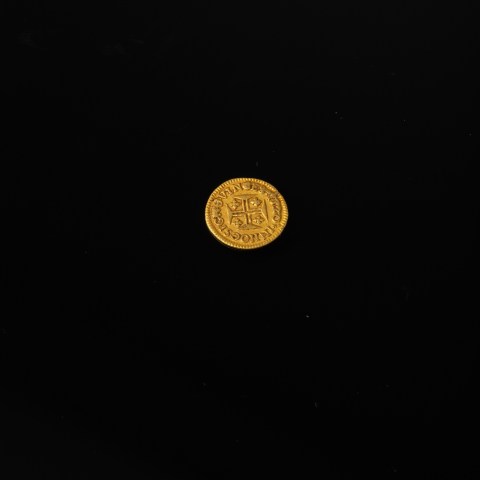 2023.008.0375.jpg