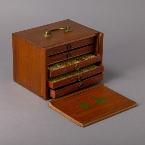2023.008.0574.jpg