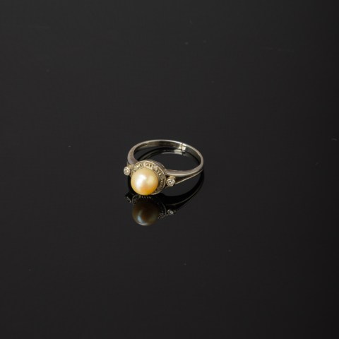 2023.009.0330.jpg