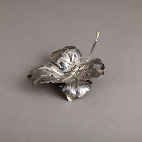 2024.001.0249.jpg