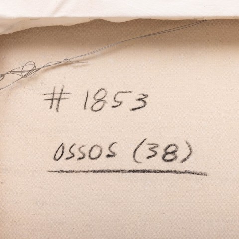 2026.003.0383_1.jpg